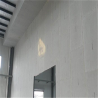 盐津宁波ALC板|EPS加气板隔墙与混凝土整浇联接的实验研讨